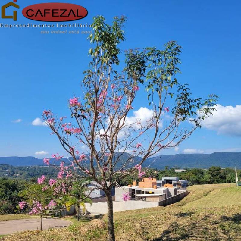 Terreno, 1273 m² - Foto 5