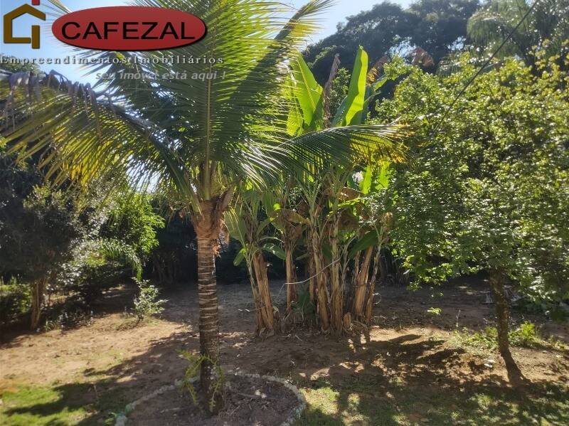 Casa, 5 quartos, 510 m² - Foto 36