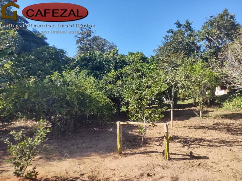 Casa, 5 quartos, 510 m² - Foto 42