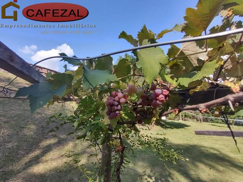 Casa, 4 quartos, 220 m² - Foto 40