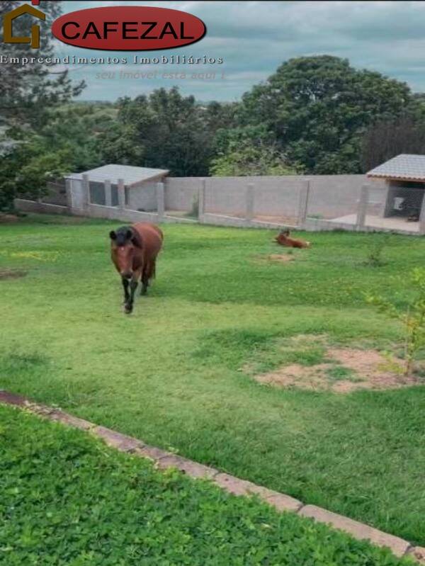 Casa, 3 quartos, 220 m² - Foto 31