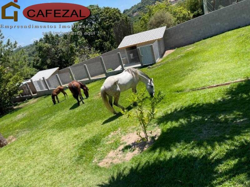 Casa, 3 quartos, 220 m² - Foto 32
