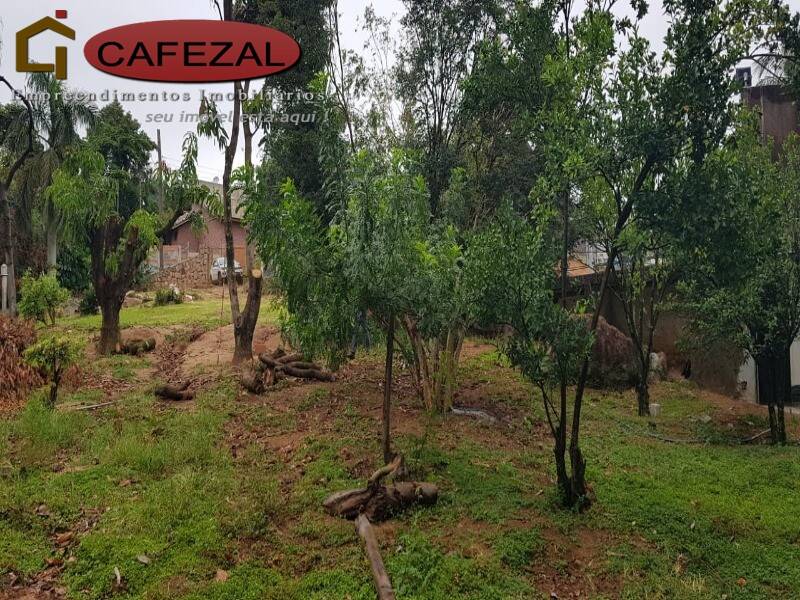 Casa, 4 quartos, 370 m² - Foto 9