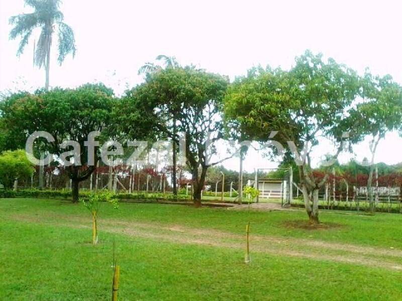 Casa, 3 quartos, 1200 m² - Foto 11