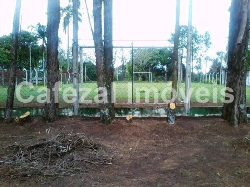 Casa, 3 quartos, 1200 m² - Foto 13