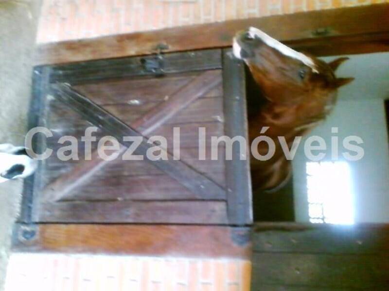 Casa, 3 quartos, 1200 m² - Foto 23