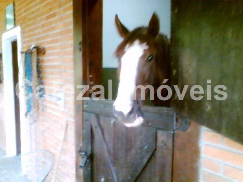 Casa, 3 quartos, 1200 m² - Foto 24
