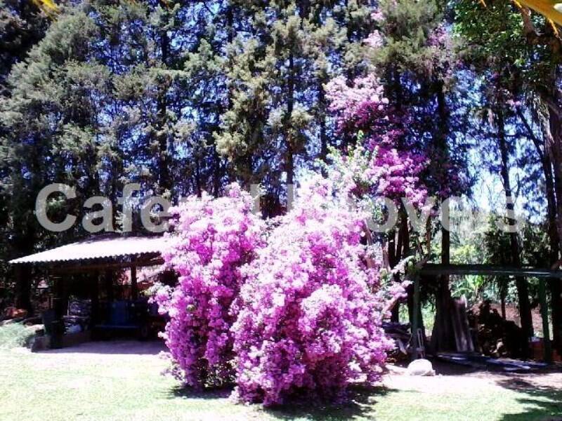 Casa, 3 quartos, 1200 m² - Foto 49
