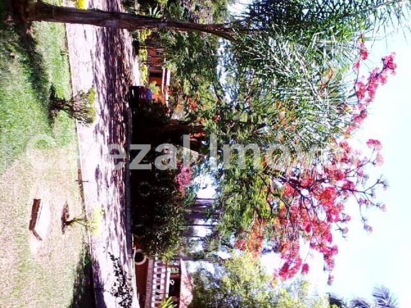 Casa, 3 quartos, 1200 m² - Foto 50