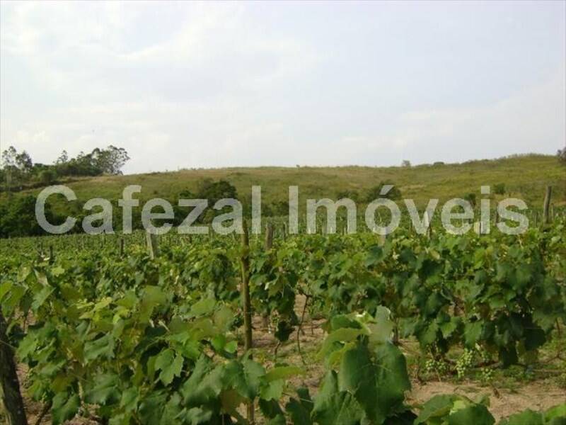 Sítio, 5 quartos, 10 hectares - Foto 2