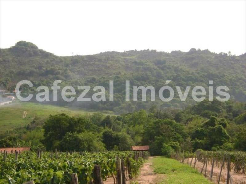 Sítio, 5 quartos, 10 hectares - Foto 4