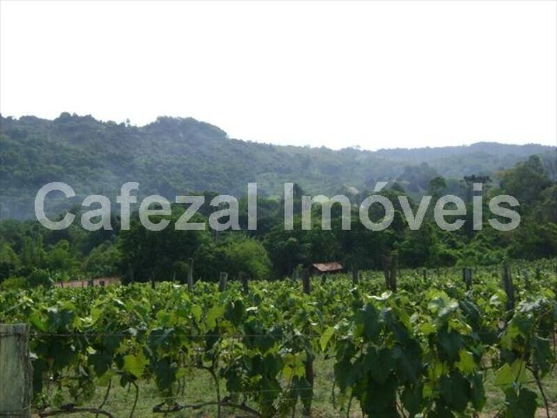 Sítio, 5 quartos, 10 hectares - Foto 7