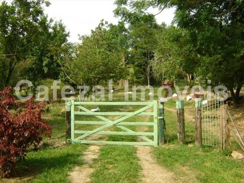 Sítio, 5 quartos, 10 hectares - Foto 11