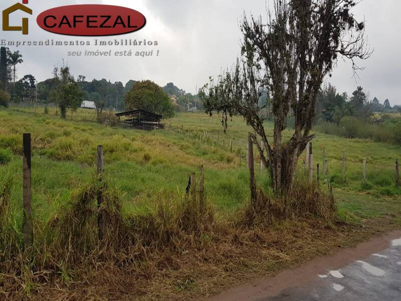 Terreno, 5 hectares - Foto 1