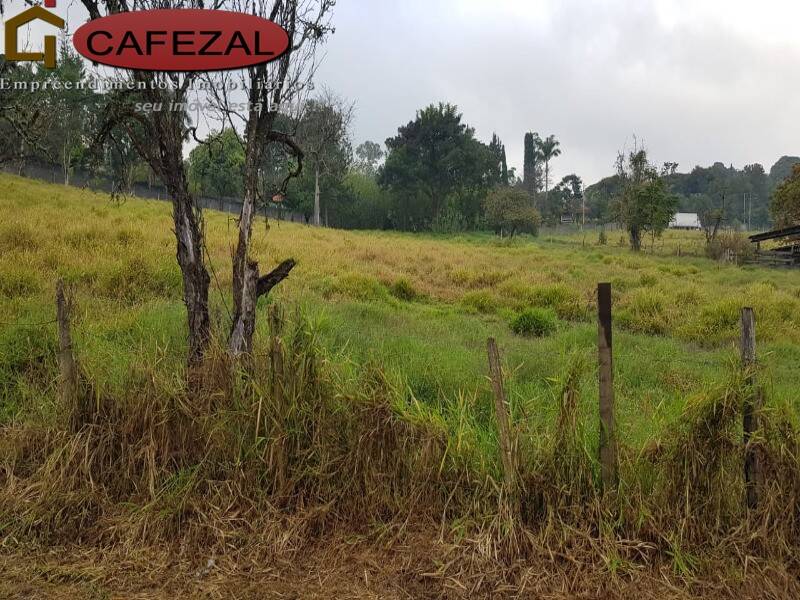 Terreno, 5 hectares - Foto 3