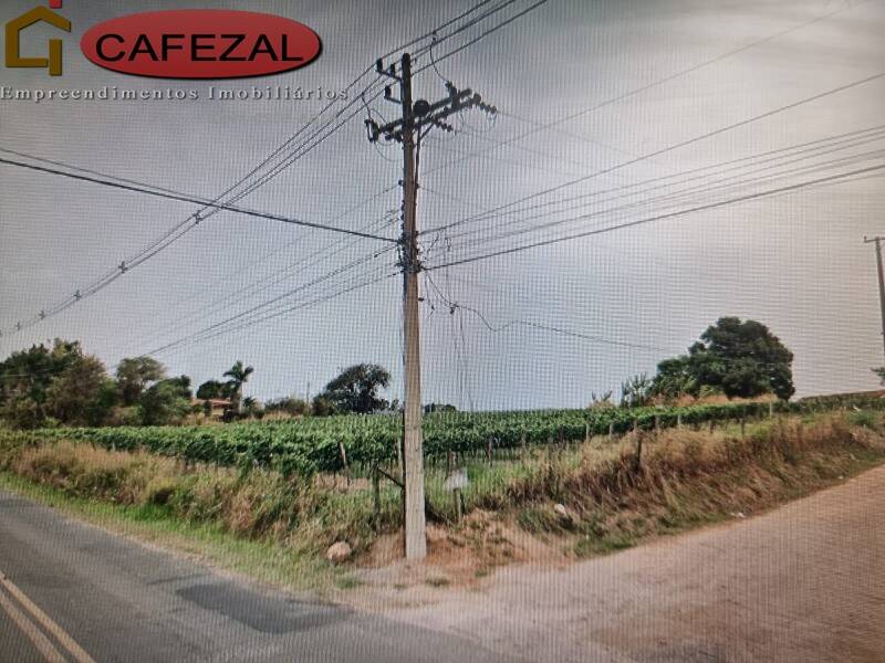 Terreno - Foto 5