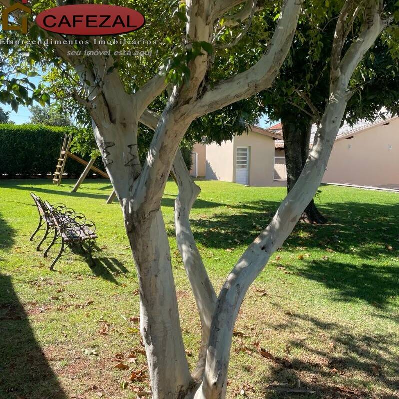 Casa, 5 quartos, 358 m² - Foto 53