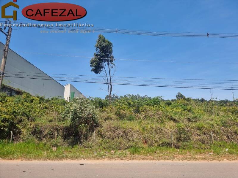 Terreno - Foto 6