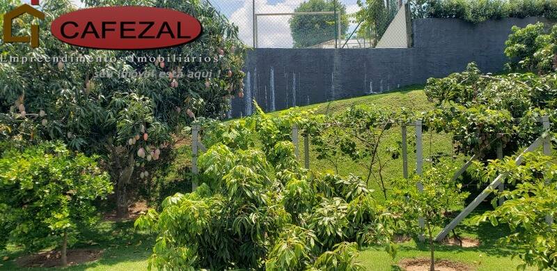 Casa, 4 quartos, 520 m² - Foto 26