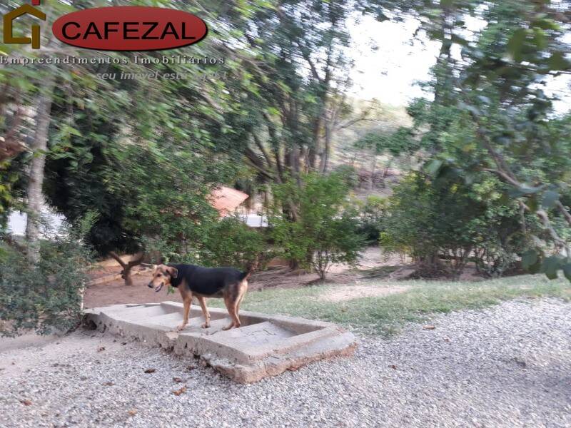 Casa, 3 quartos, 250 m² - Foto 6