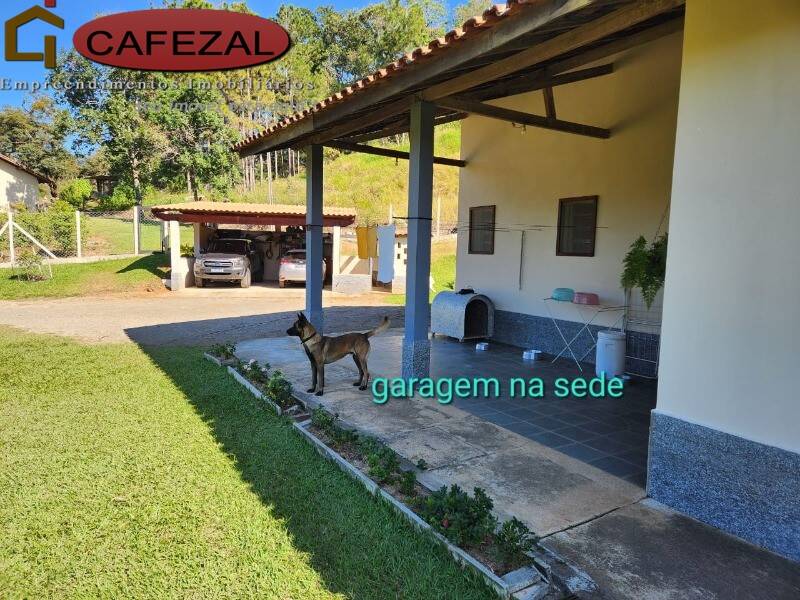 Sítio, 3 quartos, 601 m² - Foto 8