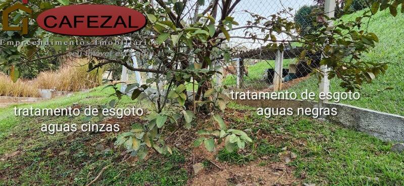 Sítio, 3 quartos, 601 m² - Foto 35