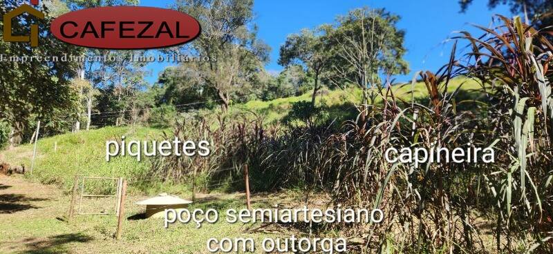 Sítio, 3 quartos, 601 m² - Foto 47