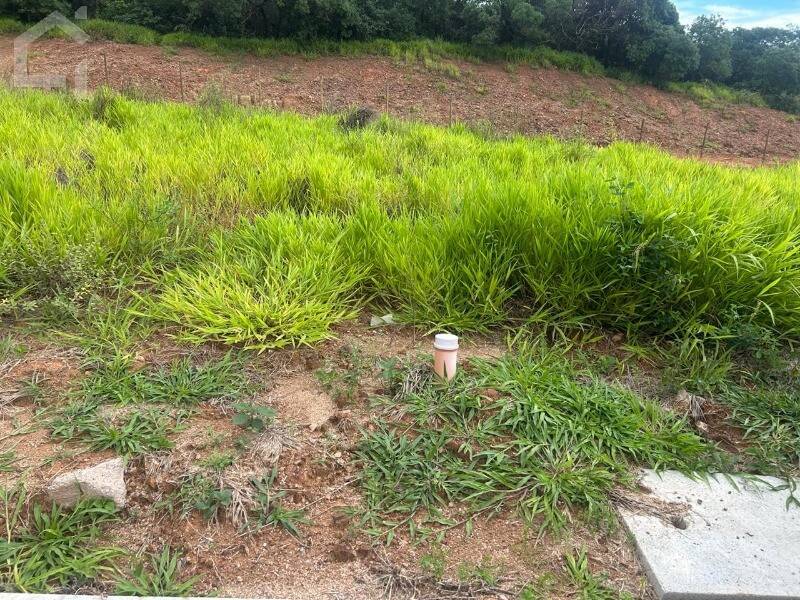 Terreno, 250 m² - Foto 1