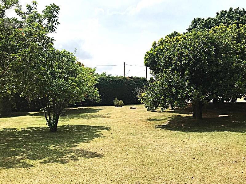 Casa, 3 quartos, 295 m² - Foto 26