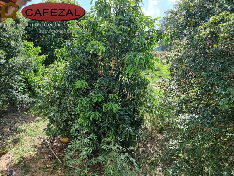 Casa, 2 quartos, 497 m² - Foto 23