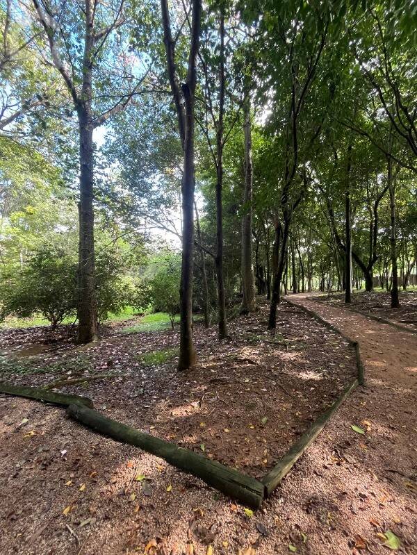 Terreno, 968 m² - Foto 17