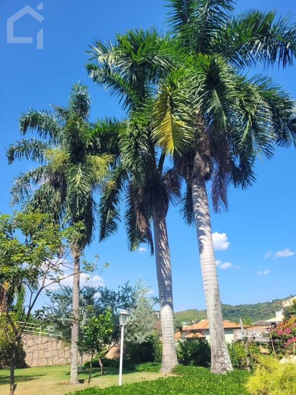 Casa, 3 quartos, 337 m² - Foto 42