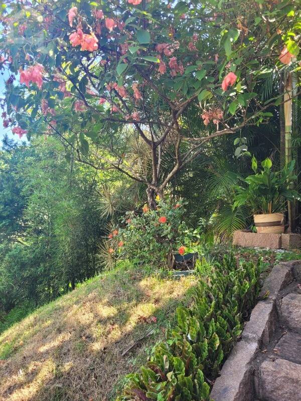 Casa, 3 quartos, 337 m² - Foto 43