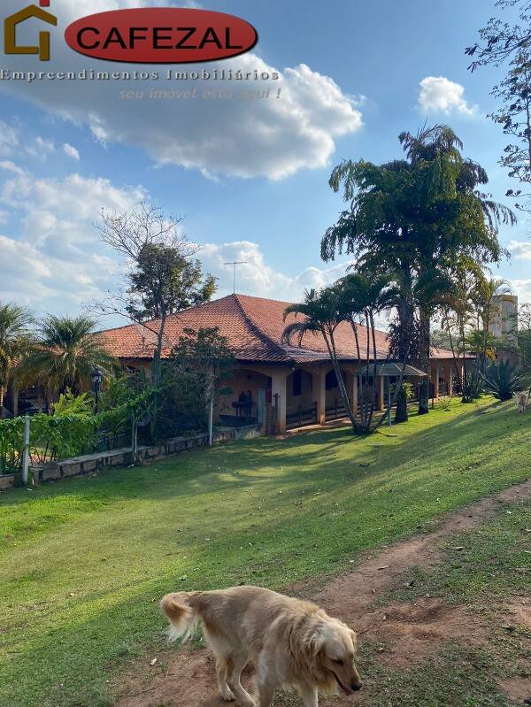 Casa, 3 quartos, 780 m² - Foto 3