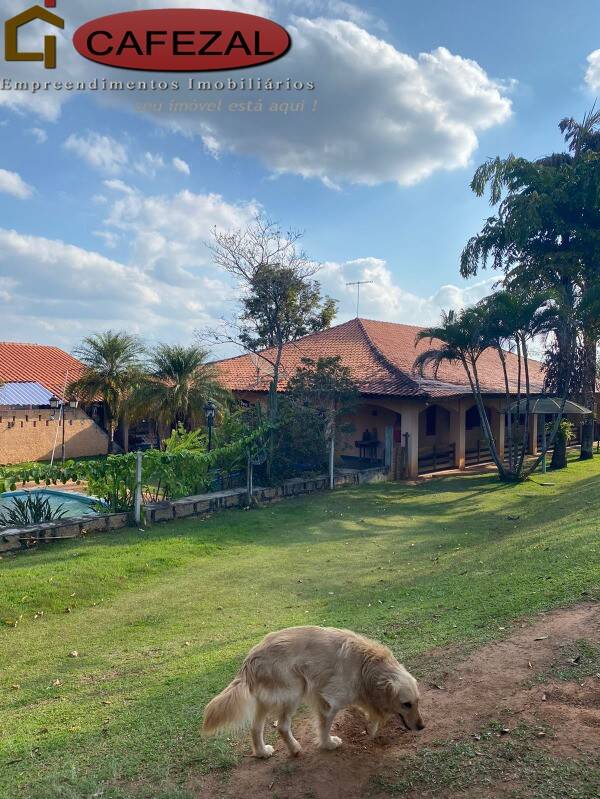 Casa, 3 quartos, 780 m² - Foto 4