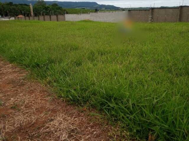 Venda em Condomínio Vila Aparecida - Cabreúva