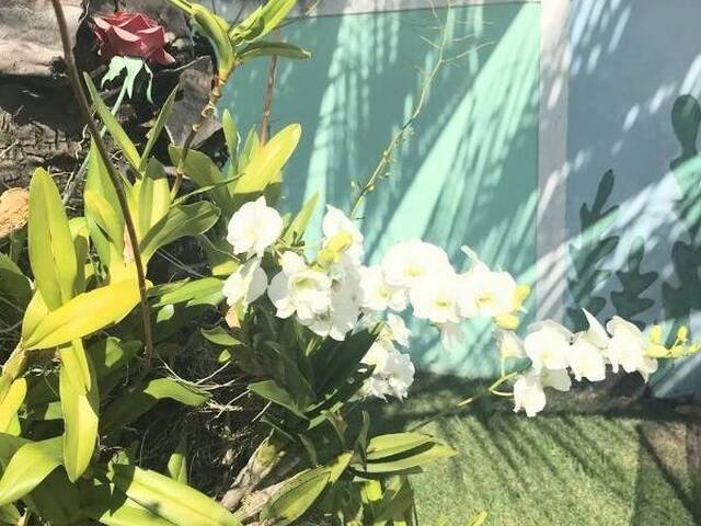 Chácara em Condomínio para Venda em Itupeva - 5