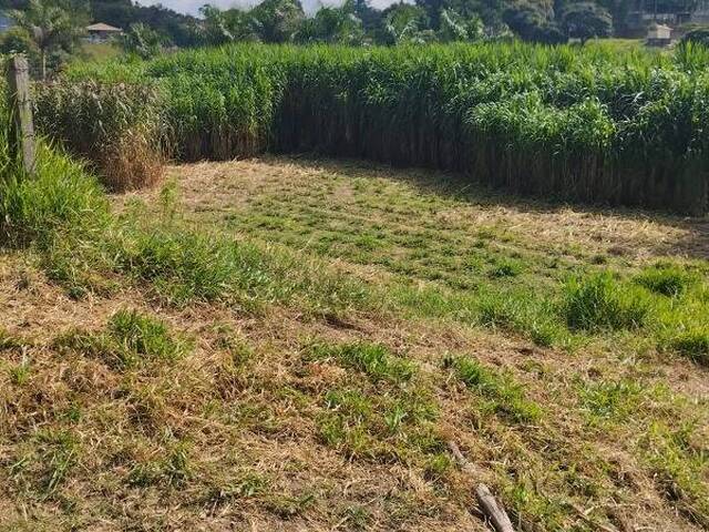 Terreno para Venda em Itupeva - 4