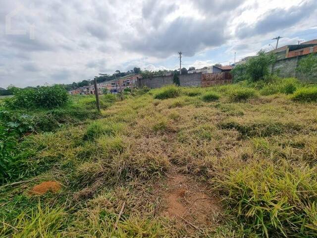 Loteamento para Venda em Itupeva - 4