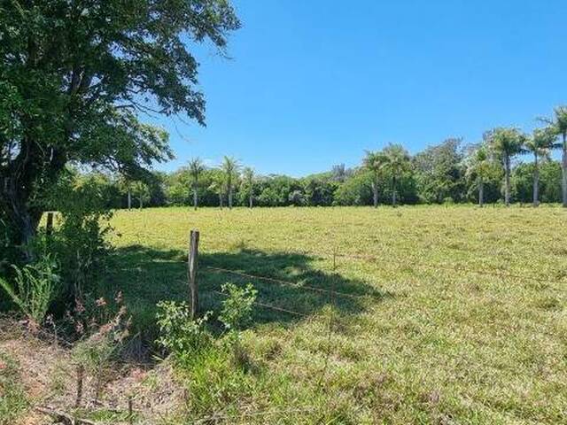 Sítio para Venda em Itupeva - 5