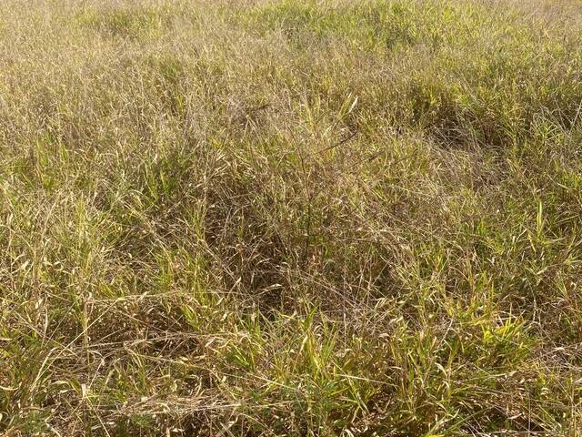 Terreno em condomínio para Venda em Itupeva - 5