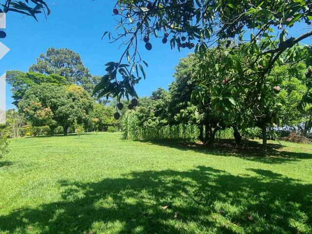 #1121 - Chácara para Venda em Itupeva - SP - 3