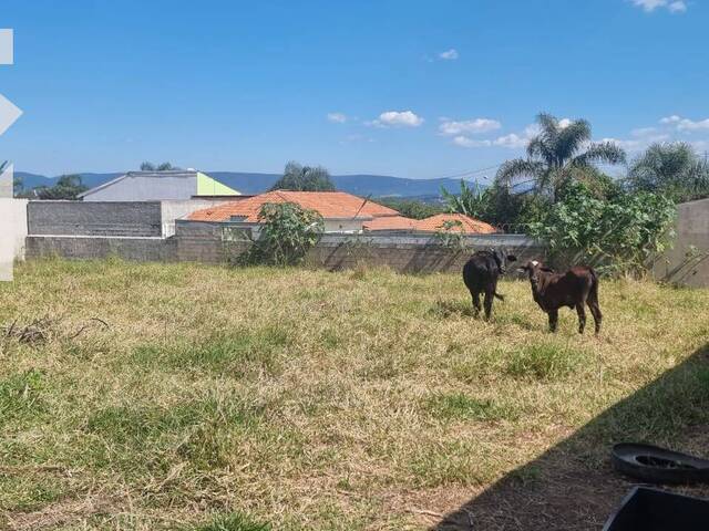 Terreno para Venda em Itupeva - 5