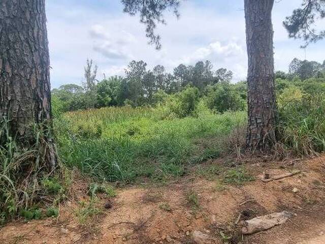 Galpão para Venda em Itupeva - 5