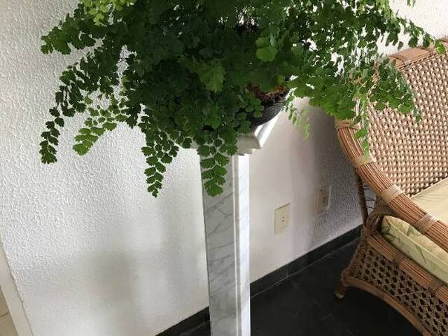 Chácara para Venda em Itupeva - 4