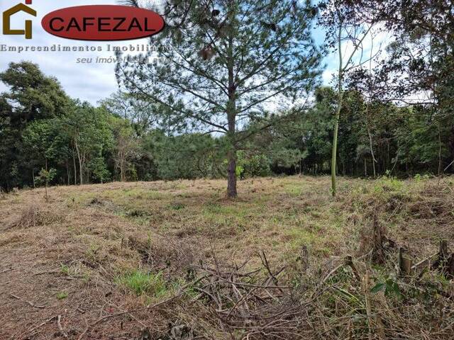 Terreno para Venda em Itupeva - 4