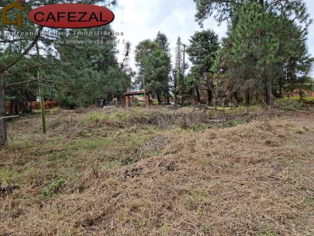 Terreno para Venda em Itupeva - 5
