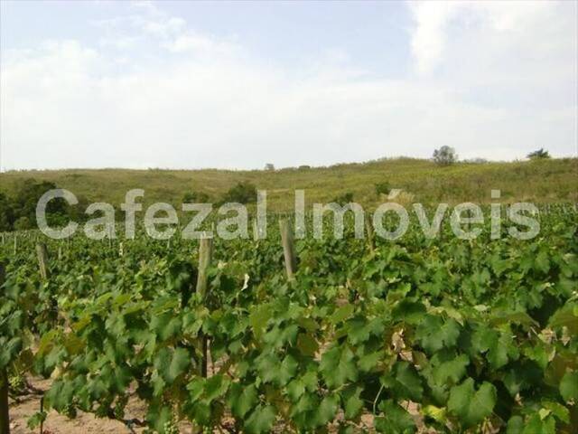 Sítio para Venda em Itupeva - 5