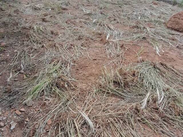 Terreno para Venda em Itupeva - 2