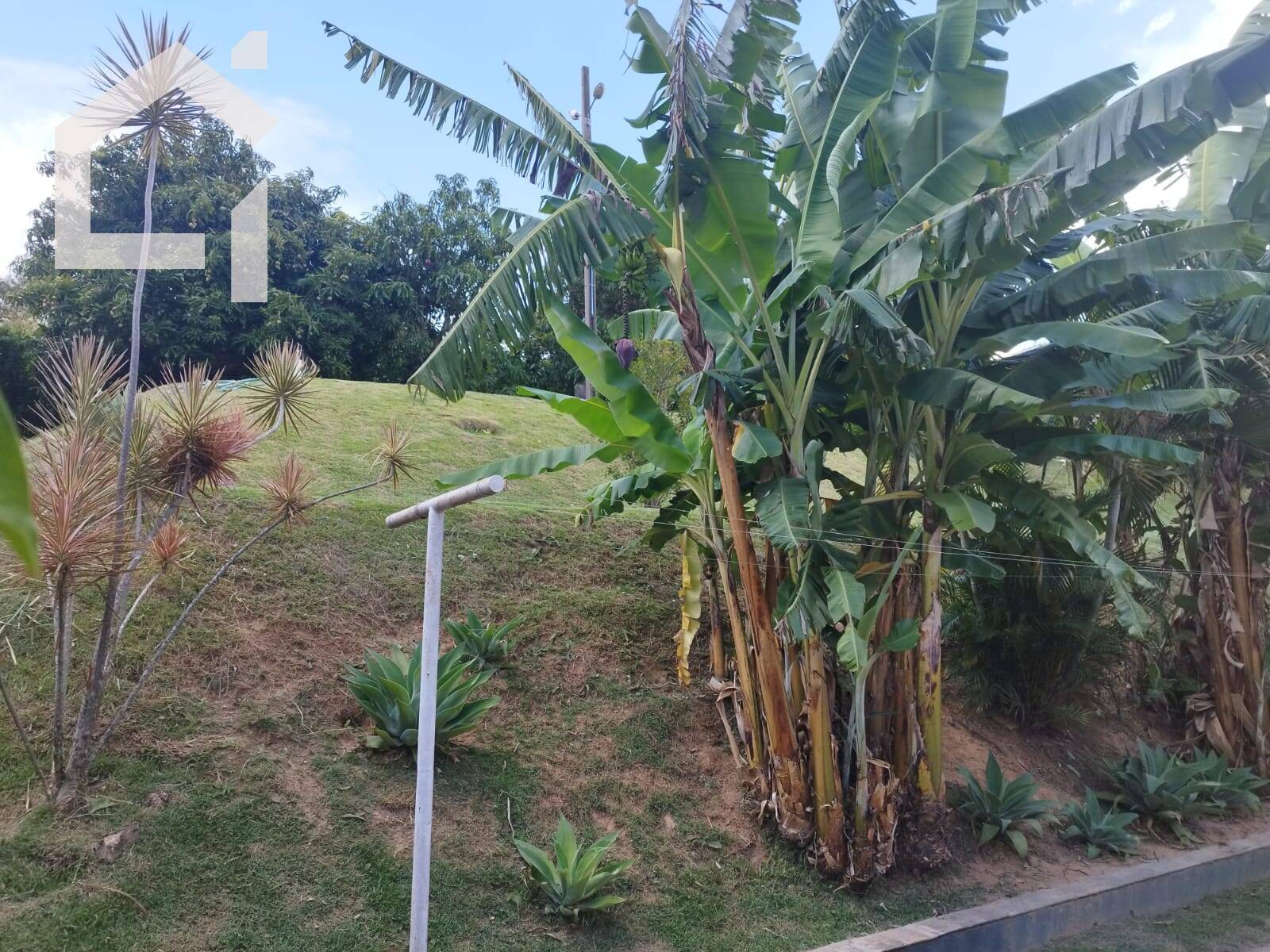 Casa, 3 quartos, 290 m² - Foto 32